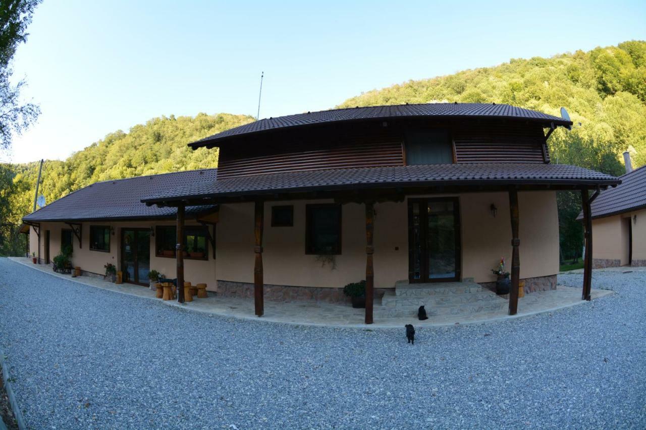 Pensiunea Lupul Dacic Costeşti Zewnętrze zdjęcie
