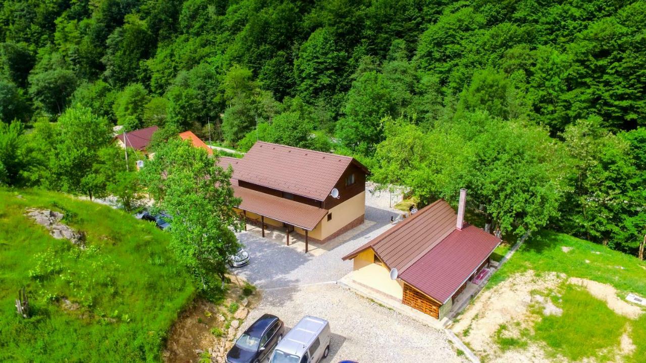 Pensiunea Lupul Dacic Costeşti Zewnętrze zdjęcie